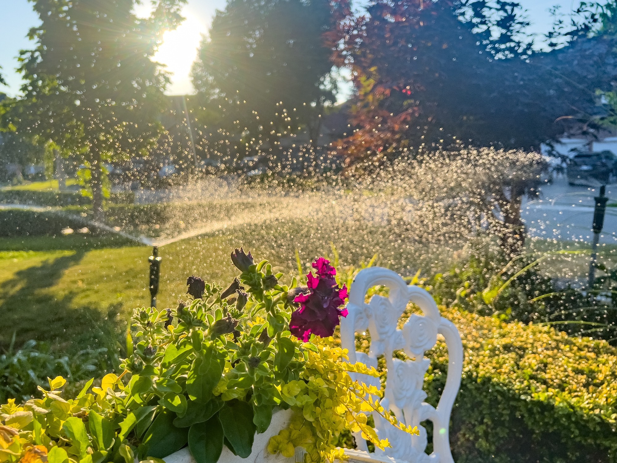 A garden with colorful flowers and water sprinklers in the sunlight, surrounded by greenery and trees, creating a serene atmosphere.