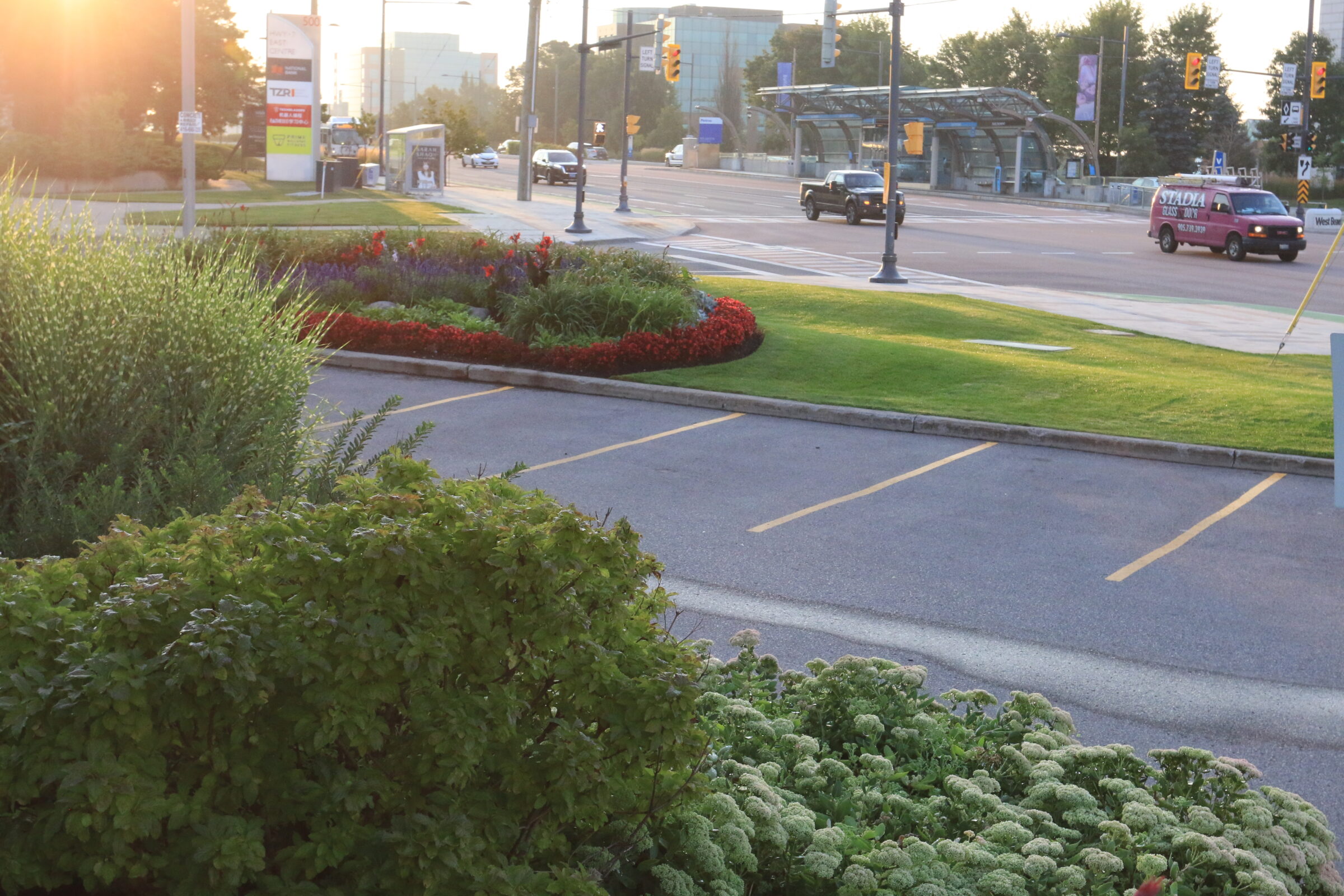 A sunny street scene with vibrant gardens, traffic, and a modern transit station. Buildings and trees line the background under a clear sky.