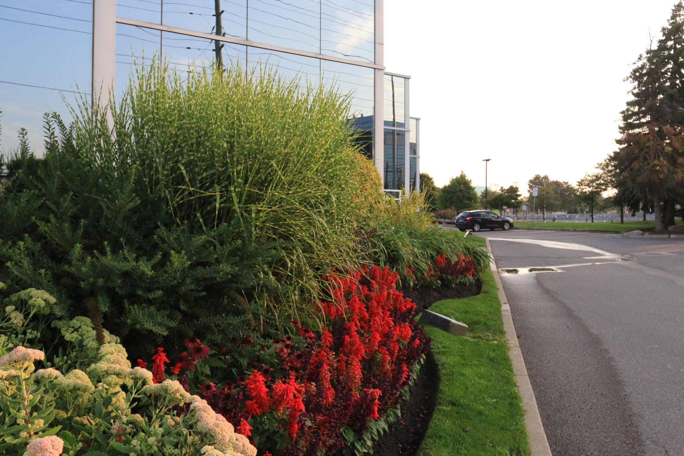 A modern glass building entrance with vibrant red and green landscaping, adjacent to a parking area. No recognizable landmarks or people present.