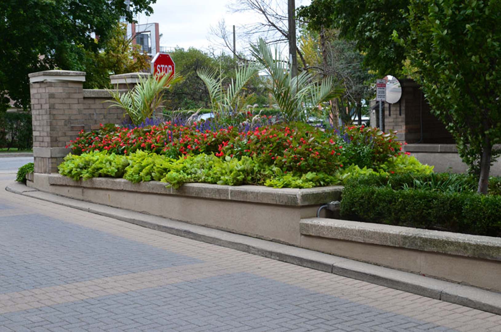 A colorful garden with red and green plants lines a sidewalk near a brick wall and stop sign on a sunny day.