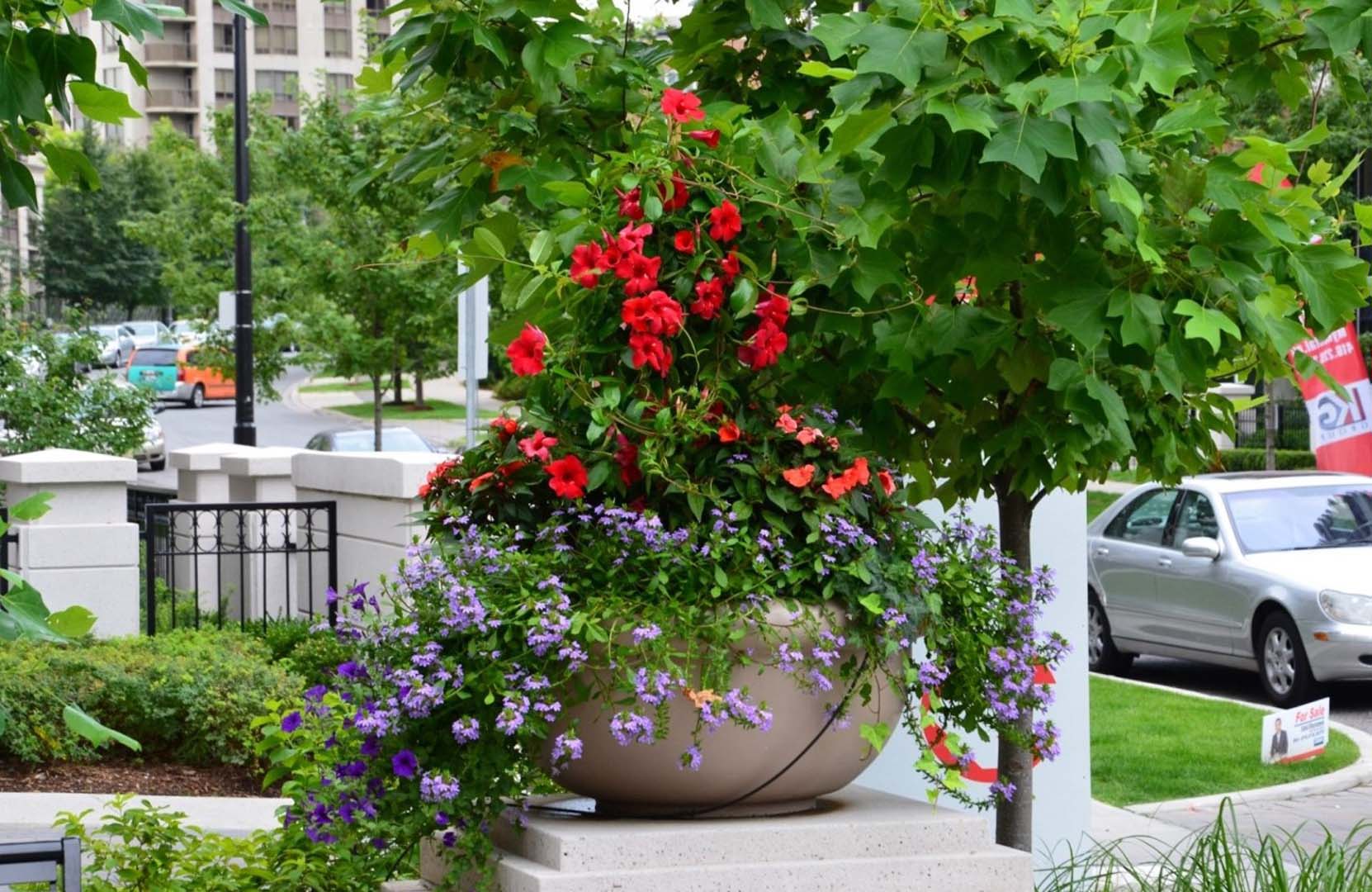 A vibrant floral arrangement in a large pot amid an urban setting, flanked by greenery, buildings, and parked cars on a street.