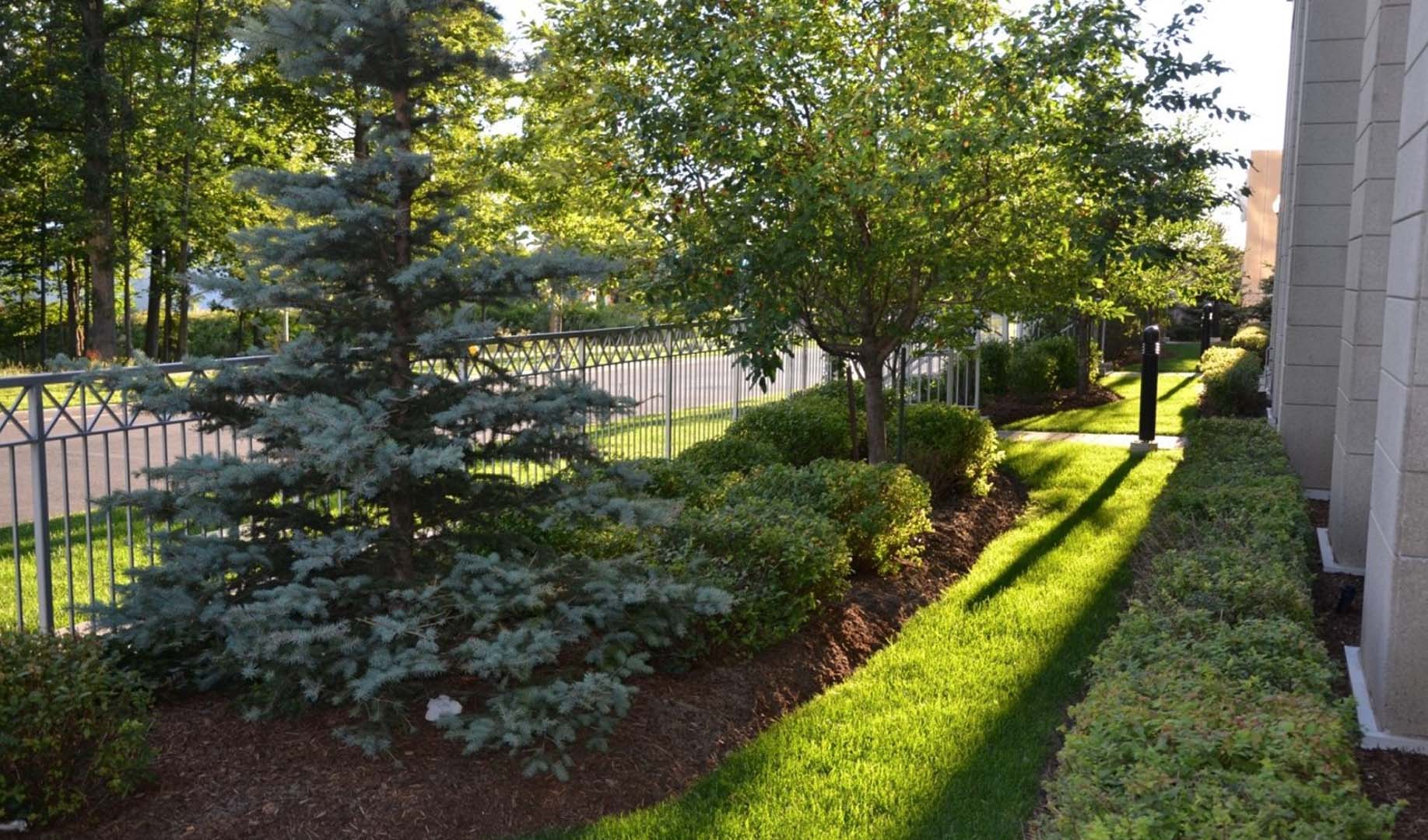 A lush, sunlit garden features a pathway lined with trees and bushes, adjacent to a building's brick wall under a clear sky.