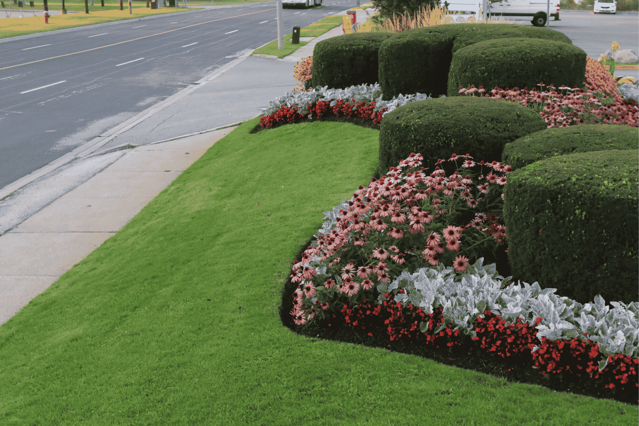 A neatly landscaped garden with colorful flowers and trimmed bushes beside an empty road, creating a peaceful, well-maintained urban outdoor scene.