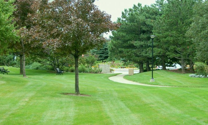 A serene park features lush green grass, winding pathways, scattered trees, benches, and lamp posts, creating a tranquil, natural atmosphere with no visible people.