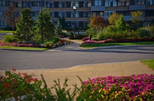 A building stands behind landscaped gardens with vibrant flowers, trees, and a paved pathway. No people or recognizable landmarks are visible.
