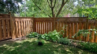 A lush backyard corner features a wooden fence, green plants, and a tree, bathed in sunlight, creating a serene, natural setting.