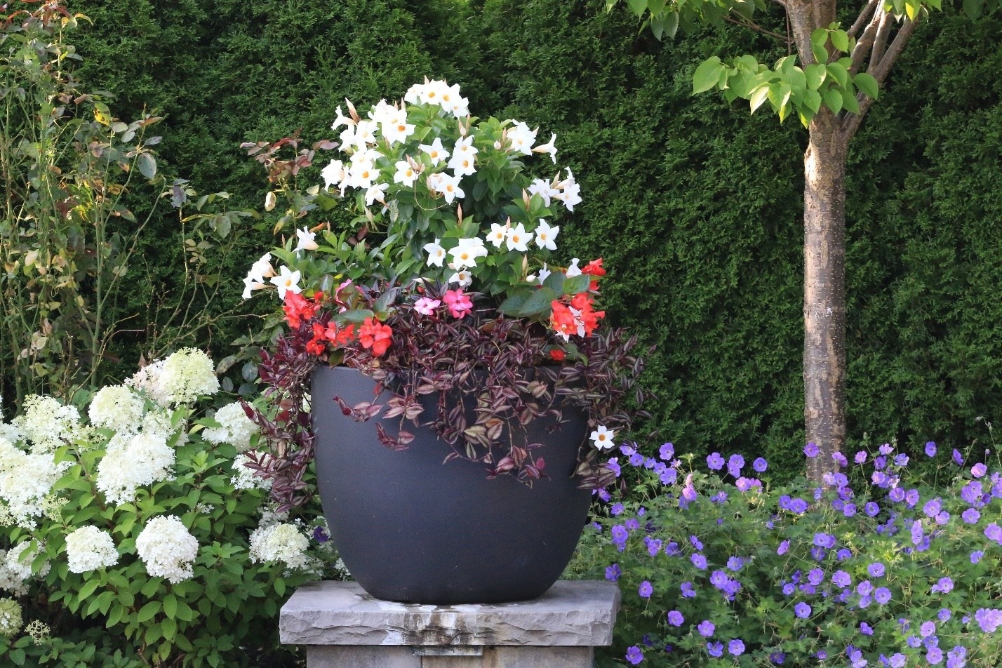 A large black planter with colorful flowers is surrounded by lush greenery and vibrant blossoms in a peaceful garden setting.