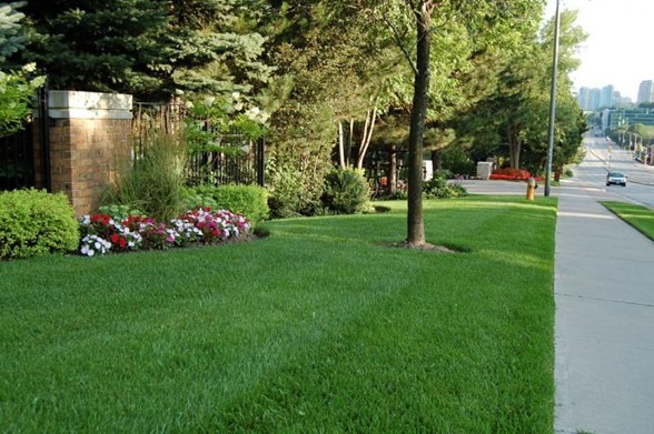 A tree-lined sidewalk with manicured lawn and colorful flowers, leading to distant city buildings under a clear sky on a sunny day.