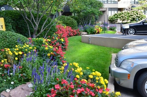 A vibrant garden with colorful flowers and lush greenery is adjacent to parked cars near a building's entrance.