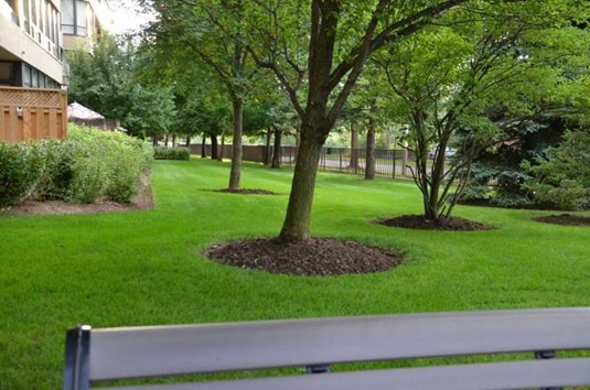 A lush green park with trees and bushes, adjacent to a modern building, viewed from a bench in the foreground.