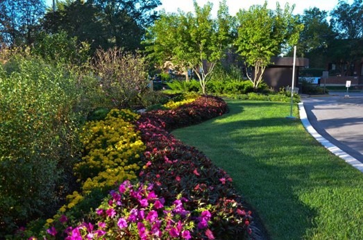 A vibrant garden with colorful flowers and greenery lines a curving path under a blue sky, surrounded by trees and sunlight.