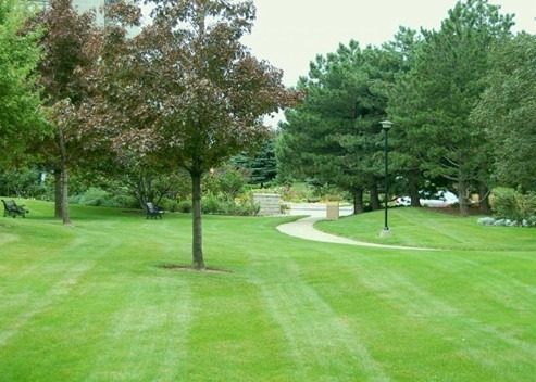 A lush park scene with a winding path, vibrant green grass, trees, benches, and lampposts under a cloudy sky, suggesting a serene atmosphere.