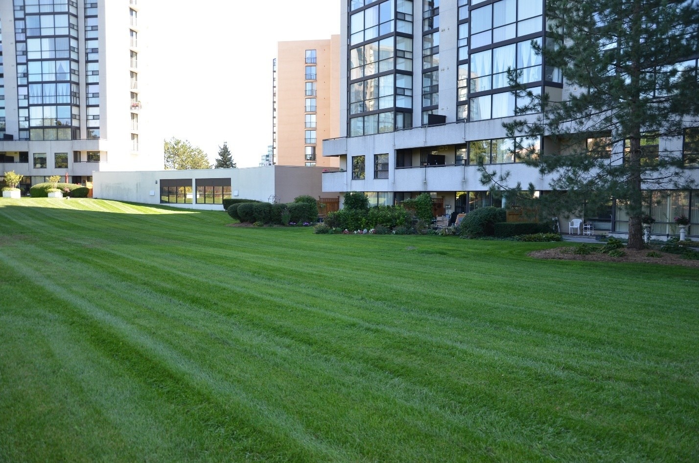 A wide, well-maintained grassy lawn in front of modern glass apartment buildings, with trees and small shrubs in the surrounding area.