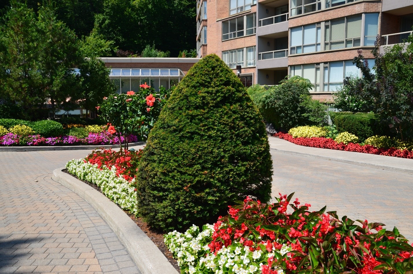 A lush garden with vibrant flowers surrounds a modern apartment complex, featuring a prominent evergreen centerpiece on a sunny day.