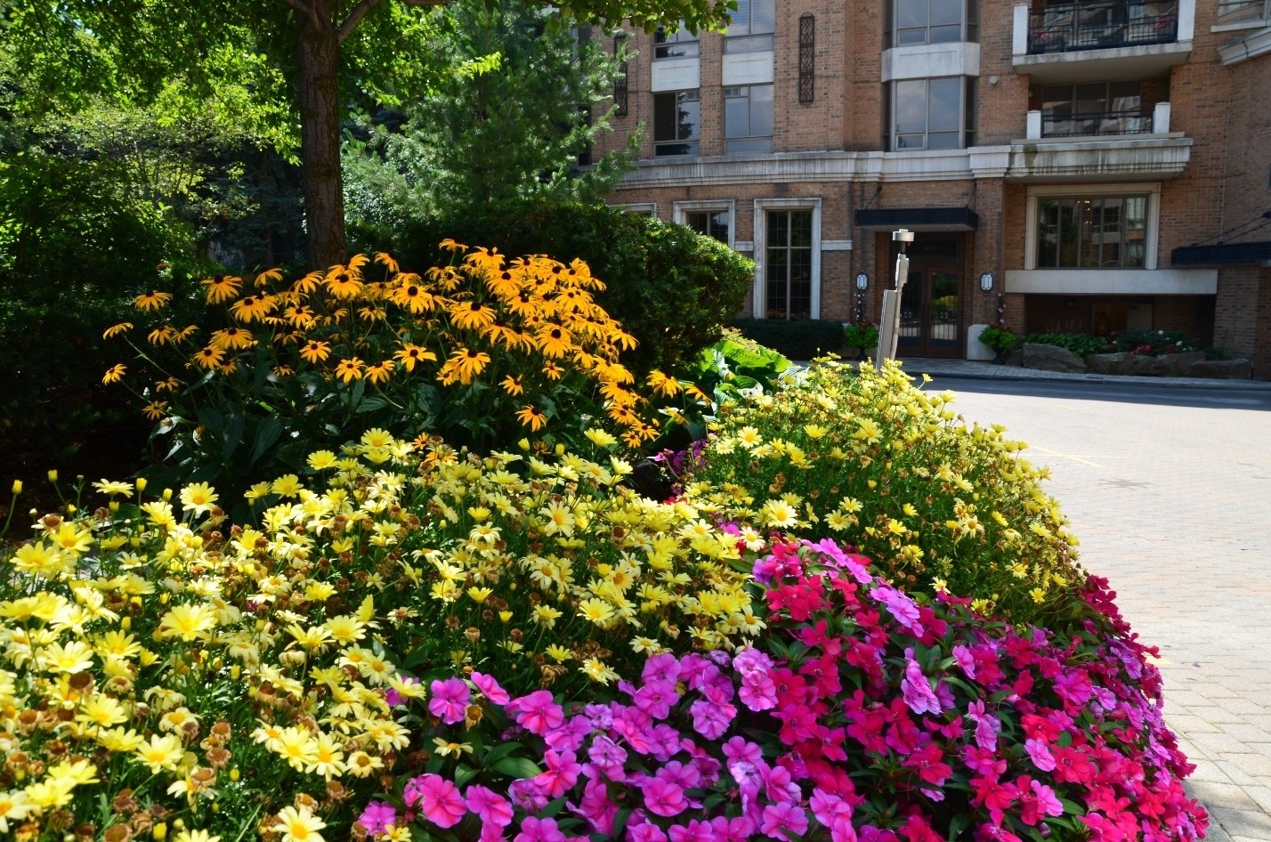 Colorful flower bed with pink, yellow, and orange blooms. Brick building in the background. Tree providing shade over the garden.