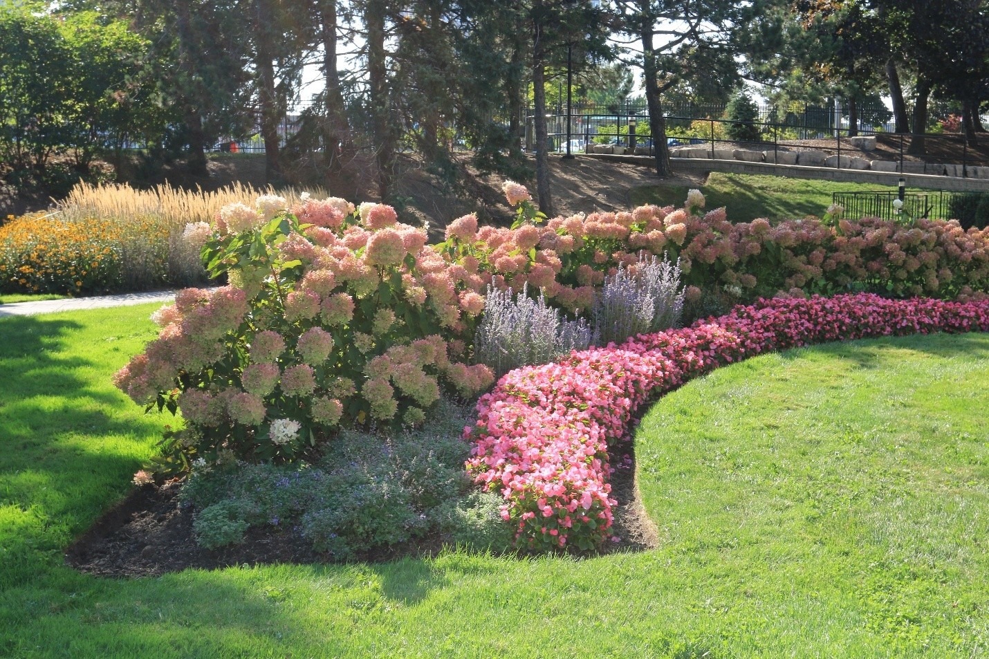 A vibrant garden with lush green grass, blooming pink and white flowers, set against a backdrop of tall trees under a clear sky.