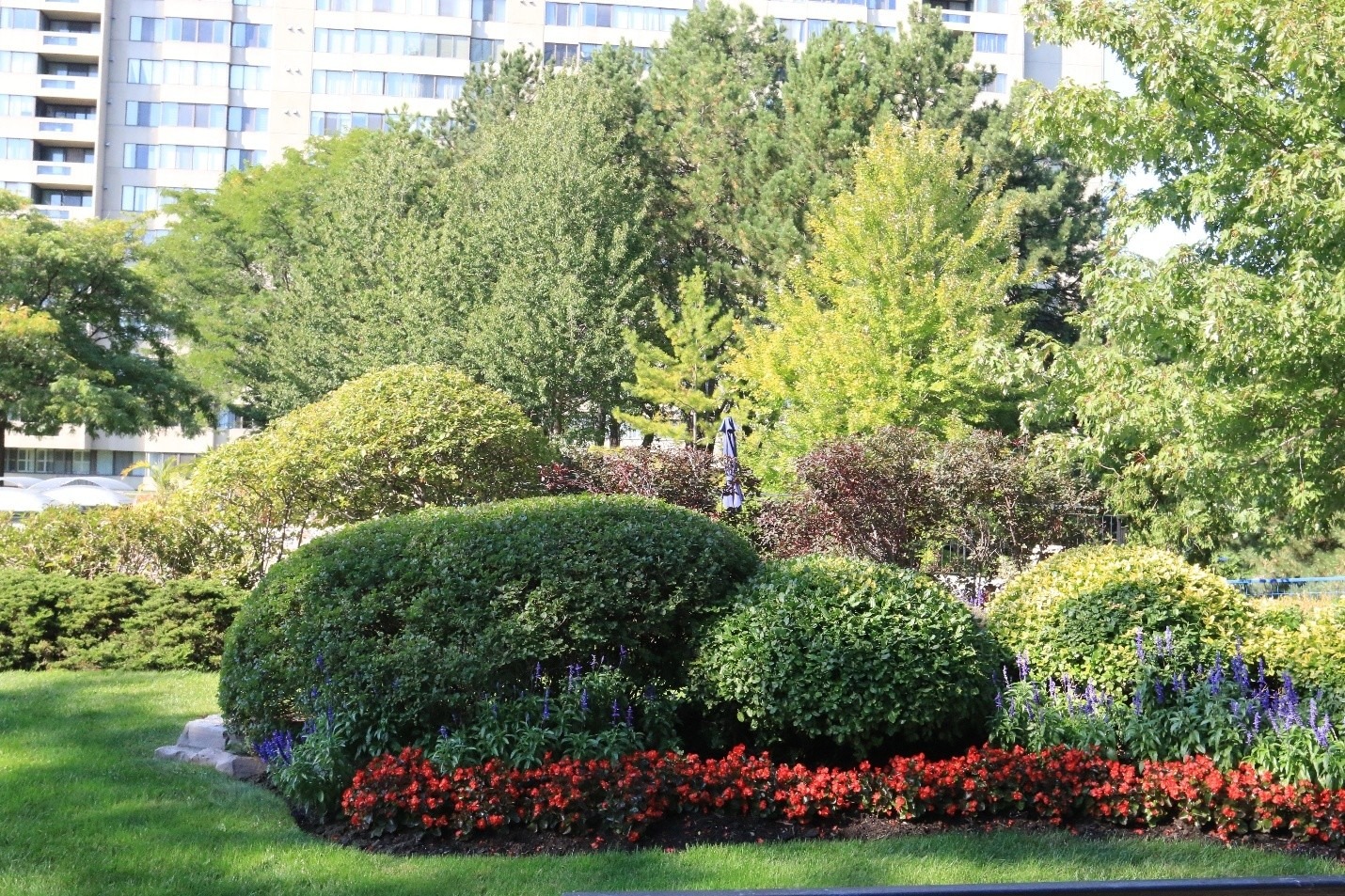 Lush garden with vibrant flowers and well-manicured shrubs, surrounded by trees. Modern building in the background under clear blue sky.