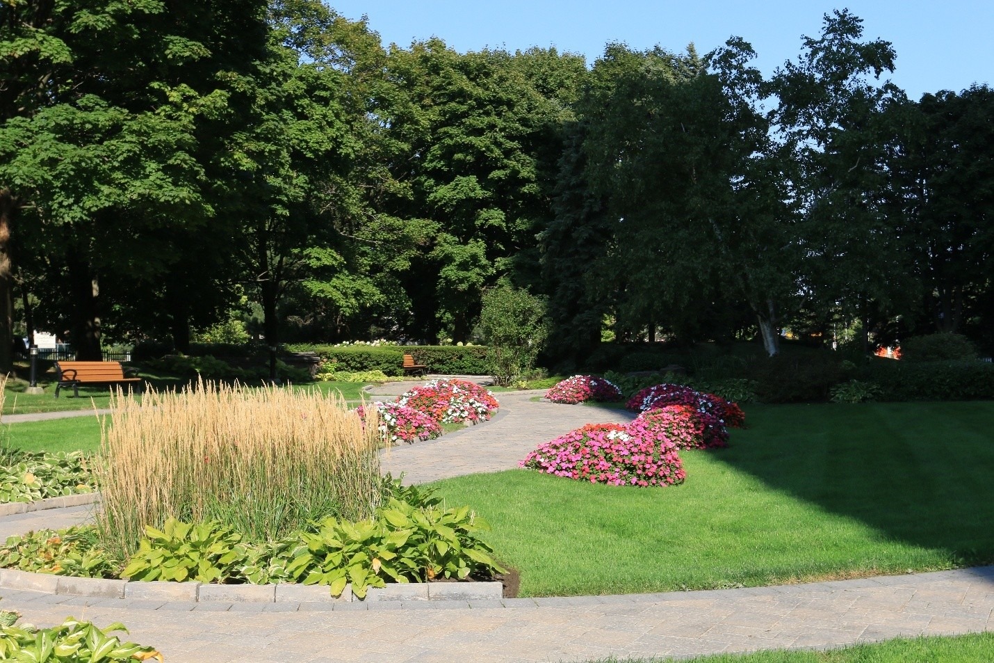 A serene park scene with vibrant flower beds, lush green grass, and curving paths under tall, leafy trees on a clear, sunny day.