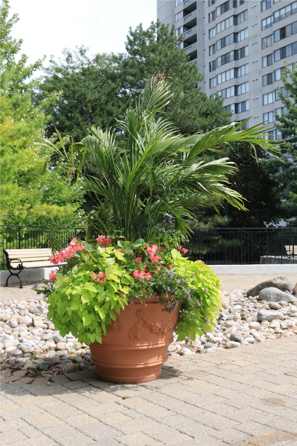 A large potted plant with colorful flowers sits on a stone patio, flanked by trees and a tall building in the background.