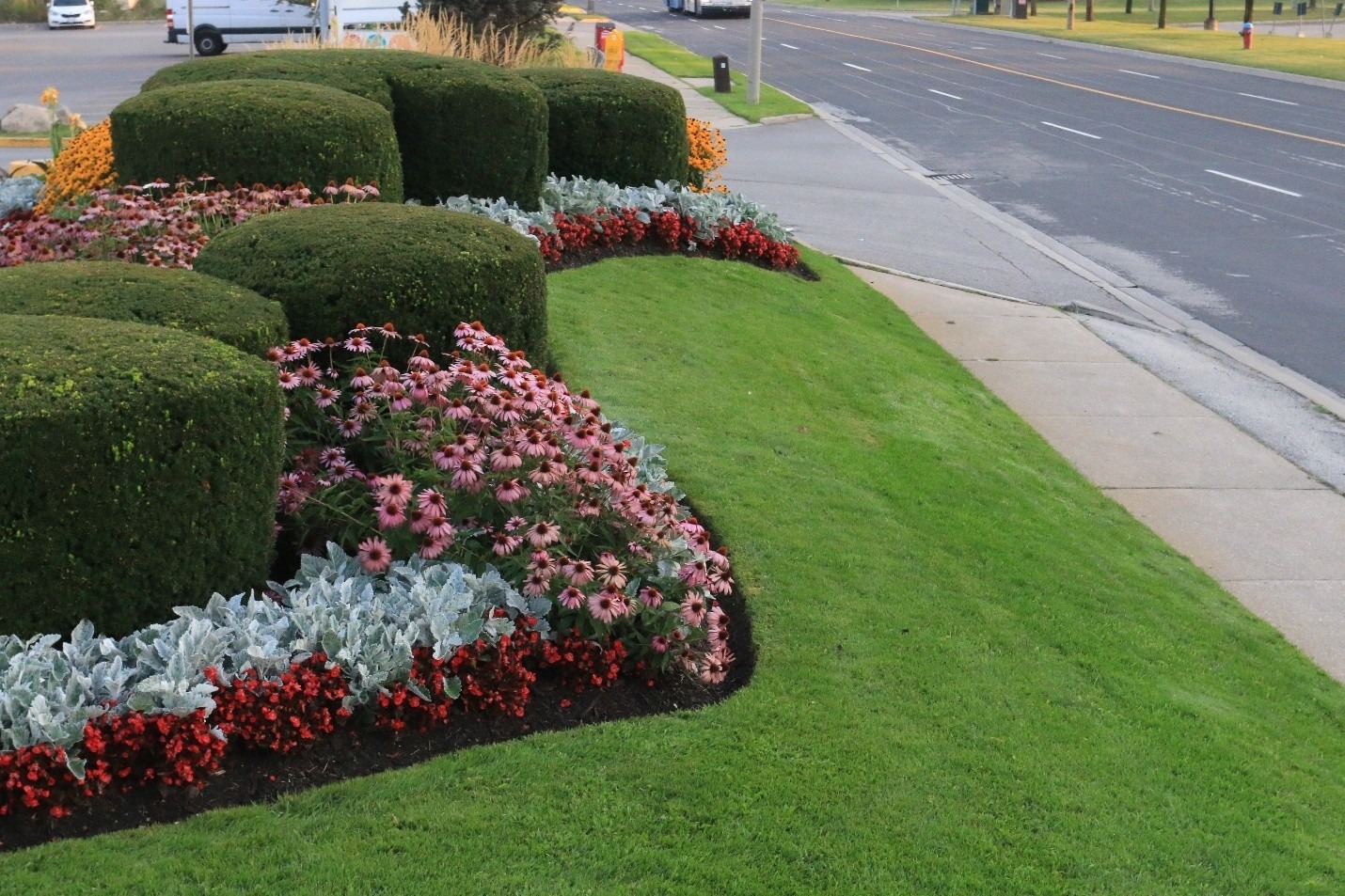 A well-maintained garden with colorful flowers and neatly trimmed hedges along a sidewalk beside a quiet road. No landmarks visible.
