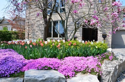 A garden with pink and white flowers, a blossoming tree, and a stone house facade. No people or recognizable landmarks present.