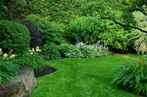 A lush, vibrant garden with neatly trimmed grass, surrounded by various green shrubs and flowering plants, creating a peaceful and serene atmosphere.