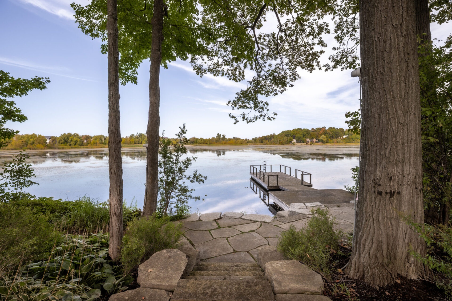 A serene lakeside scene featuring a wooden dock, surrounded by lush trees and calm water under a clear blue sky.