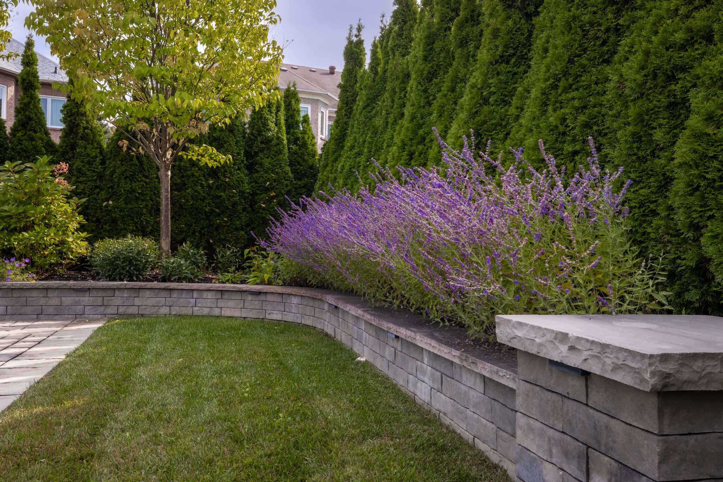 A landscaped garden features a curved stone wall, lush green grass, purple flowering plants, tall trees, and adjoining residential buildings in the background.
